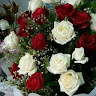 حمزة الحيمي