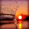 الاستاذة امل ممدوح