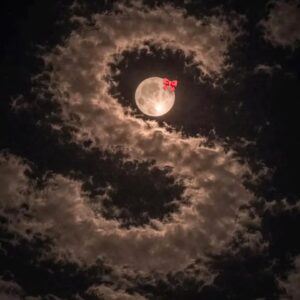 صـــآلَحً الإحتياطي